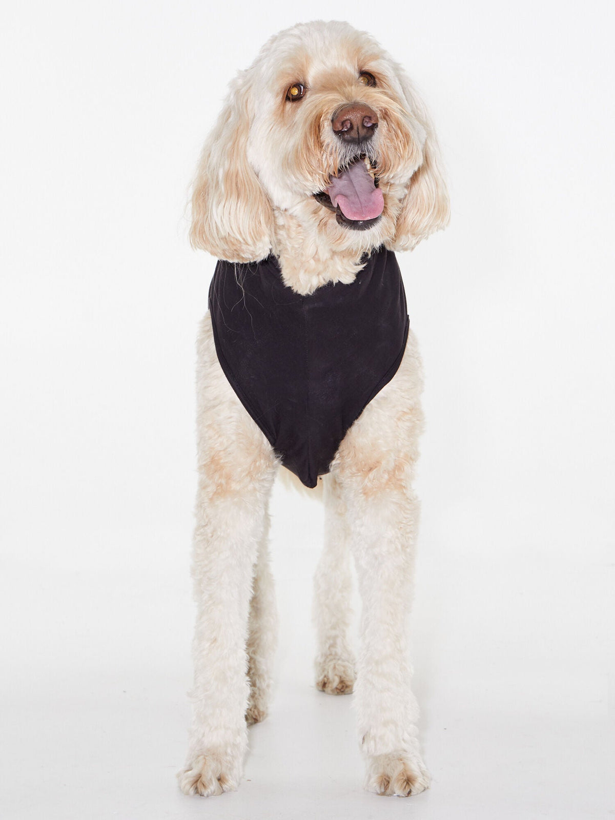 DOG SWEATER BLACK