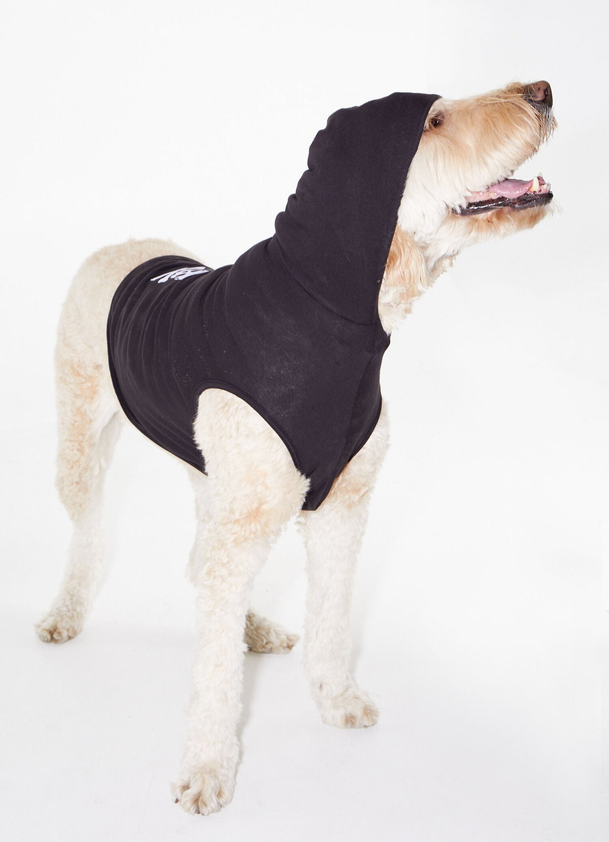 DOG SWEATER BLACK